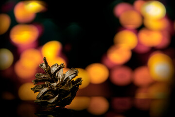 Pine cone and colorful bokeh lights in the background.