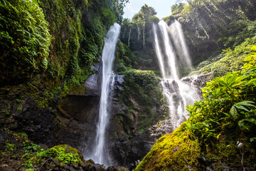 The Sekumpul Waterfall, a large waterfall in the middle of the jungle that falls into a deep green gorge. Trees and tropical plants at Bali's highest waterfall.