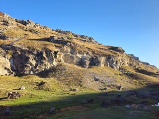 Obraz premium A grassy hill with rocks and a mountain in the background