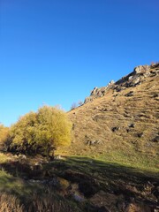 A grassy hill with trees and a blue sky