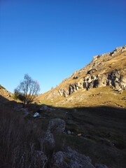 A rocky hill with a tree on it