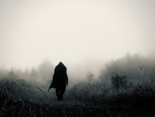 Walk in The fog