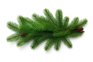 Pine Branch with Festive Pine Cone for Christmas Decor Created With Generative AI Technology