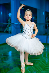 A Graceful Little Princess in a White Tutu and Sparkling Tiara. A little girl in a white tutu and a...