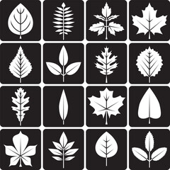 black background autumn and summer tree leaves icons set