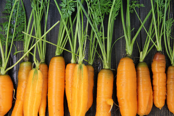 Fresh and sweet carrots on a wooden table