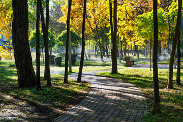 Pathway in the fall park - 669654643