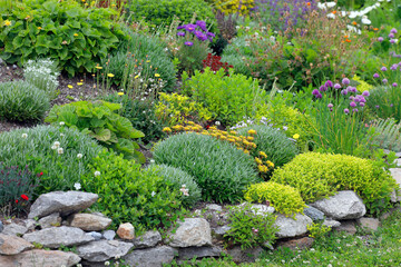 Steingarten mit verschiedenen Pflanzen