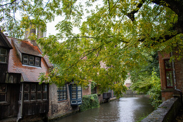 Fototapeta na wymiar Autumn view from Boniface Bridge (Bonifaciusbrug) in Bruges, with charming canal, riverside houses, and overhanging tree