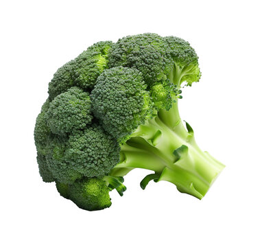 Broccoli, green vegetable isolated on white background