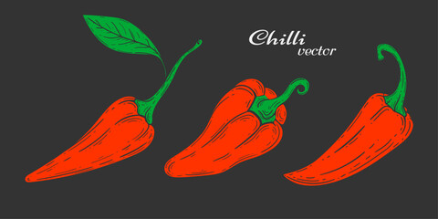 Hot Mexican pepper. Chili Pepper hand drawing .Set of paprika . Vegetables. Vector illustration .