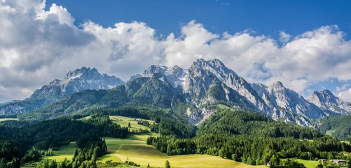 Foto op Plexiglas Leoganger Steinberge mit höchstem Gipfel Birnhorn im Salzburger Land, Österreich, im Sommer © Petair