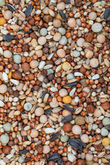 Food for birds. Seed mixture. A super macro image of bird seed medley. Seed mix background. The view from top. Colorful texture.