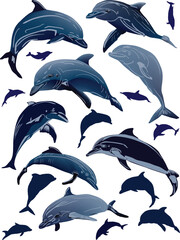 Obraz premium nineteen grey dolphins isolated on white