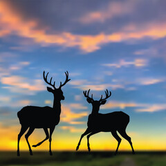 deer two silhouettes on sunset background