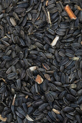 Sunflower seed background, top view. Dry sunflower seeds, background, texture, top view. Pile of...