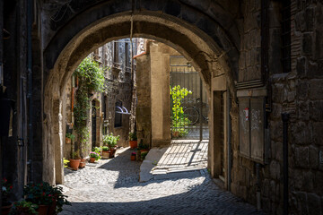 a narrow cobbled street with typical architecture in the medieval old town of Viterbo, Lazio, Italy - Powered by Adobe