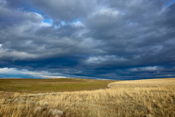 Fototapeta premium Yellow grass field under dramatic sky in Eastern Oregon in summer.