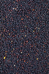 Rape seed background, top view. Dry corn seeds, background, texture, top view. Pile of corn seeds. Background from corn seeds, texture. Agriculture product.