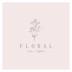 Obraz premium Elegant floral and leaf frame. Delicate botanical vector illustration for labels, spas, corporate identity, and wedding invitations