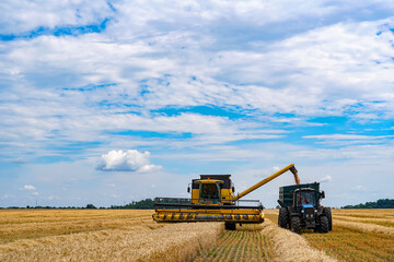 Obraz premium Agricultural Powerhouse in a Golden Expanse. A tractor and a tractor trailer in a wheat field