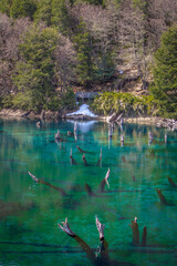 Laguna Arcoiris , Parque Conguillio, Chile