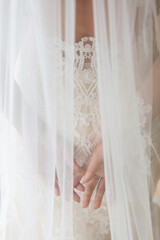 Fototapeta na wymiar Bride's hands delicately positioned on lace wedding dress behind soft veil.