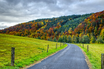 Colorful autumn landscape, cloudy sky, wire fencing and rural road