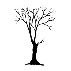 Silhouette of a dry branchy tree. Vector graphics.