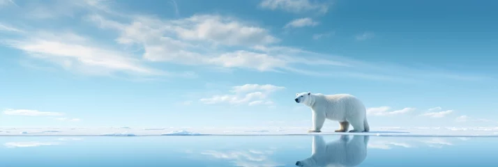 Keuken spatwand met foto Polar bear on ice floe in arctic sea. Wildlife nature. Melting iceberg and global warming. Climate change concept © ratatosk