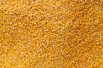 Top view of raw yellow corn seeds on flat surface