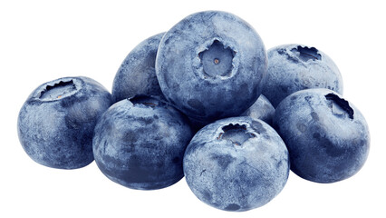Blueberry isolated on white background, full depth of field