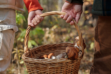 Hands of young couple carrying basket with fresh picked boletus mushrooms while moving along autumn...