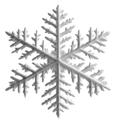 Fotobehang snowflake model isolated winter retro grunge halftone dotted texture vintage magazine style collage element for mixed media design © Oleksandr Yashchuk
