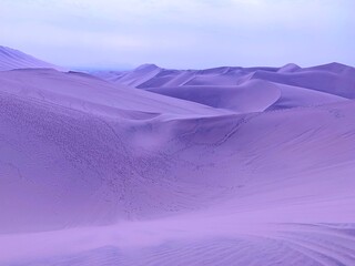 Purple violet sand dunes desert.