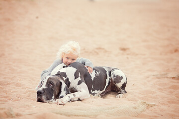 Little blonde girl with great dane on the sand beach in summer 