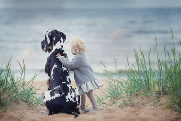 Little blonde girl with great dane on the sand beach in summer  - obrazy, fototapety, plakaty
