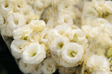Close-up of several flower bunches consisting of white eustomas wrapped into transparent cellophane before sale in florist shop or market