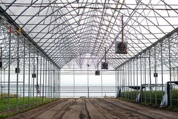 Part of spacious modern industrial greenhouse with green plants or flowers growing in rows for sale and empty area with soil ready for planting