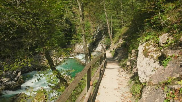 The Vintgar Gorge in Triglav National Park, Slovenia