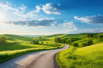 Foto op Canvas Winding Path in Nature: A serpentine road winds through lush green fields under the bright sky with scattered clouds on a sunny day © Konstiantyn Zapylaie