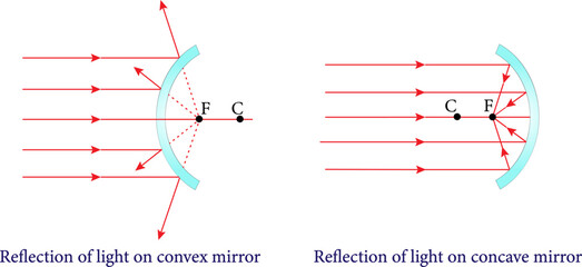 The Reflection of light on concave and convex  mirror , spherical mirrors.Vector illustration.