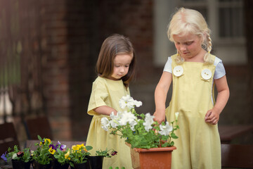 Little gardeners girls  planting flowers in summer 
