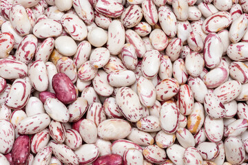 Healthy dried uncooked white bean seeds.