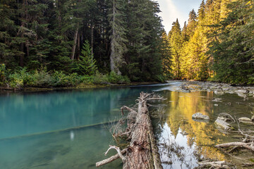 Serenity at a turquoise river in the wilderness of British Columbia, Canada