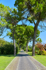 Beautiful landscape panorama in the park garden sigurta, near the village of valeggio on the mincio. Italy.
