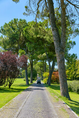 Beautiful landscape panorama in the park garden sigurta, near the village of valeggio on the mincio. Italy.
