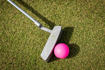 Pink golf ball and putter on a putting green of golf course landscape orientation in Central Florida