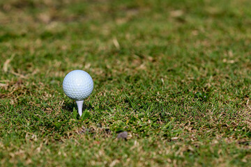White golf ball on white tee with copy space at a golf course in Central Florida