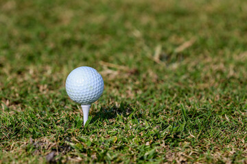 Close-uup of a white golf ball on white tee with copy space at a golf course in Central Florida